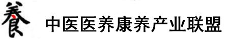 插入大鸡巴爽爽视频